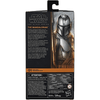 Star Wars The Black Series: The Mandalorian